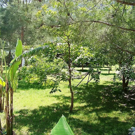 Guest house Arya Cirali