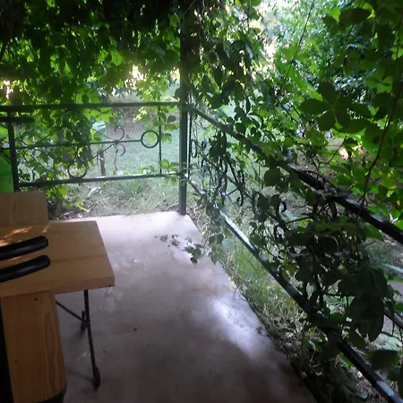 Arya Guest house Cirali