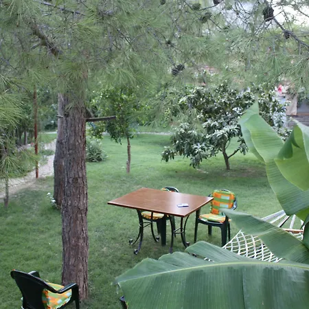 Arya Guest house 3*
