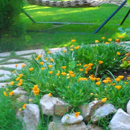 Arya Guest house Cirali