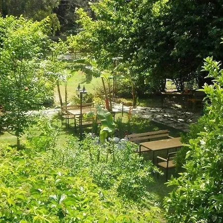 Arya Guest house 3*