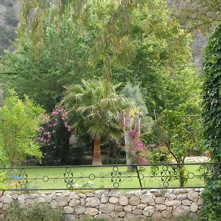Arya Çıralı